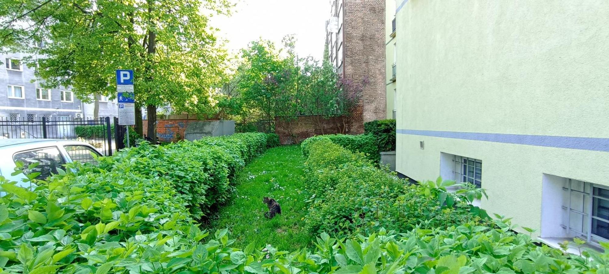 Katarzynka Gdansk Stare Miasto Ngoại thất bức ảnh